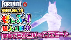 本日のアイテムショップ ヴィックスなどの使用感紹介!! 2021.06.18【Fortnite・フォートナイト】