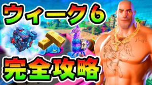 ウィーク6クエスト攻略！ エイリアンナノマシン/アブダクター/木 チャレンジ場所まとめ解説付き【フォートナイト】
