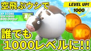 【最高率】新アイテム「インフレータ・ブル」を使って一日３５レベル上げる方法がヤバすぎる！！【フォートナイト】レベル上げ　小技　経験値稼ぎ