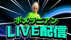 【フォートナイト】大会行ってきます