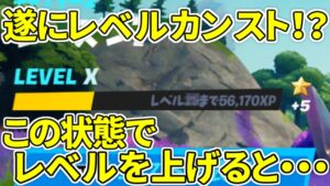 遂に「レベルＸ」が実装！？この状態でレベルを上げるとどうなる！？レベルに関するアレコレまとめ【フォートナイト】レベル上げ　小技　経験値稼ぎ