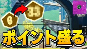 大会3戦目なのにまだ6ポイントなんだけど…得意のSRでどこまで盛れるかチャレンジしていいですか？【フォートナイト/Fortnite】