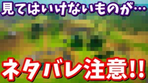 【閲覧注意】ワンタイムの内容が判明。バグで見てはいけないものを見てしまいました…【フォートナイト考察】