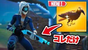 「金武器確定カラス」が落とした武器だけでビクロイチャレンジ【フォートナイト】