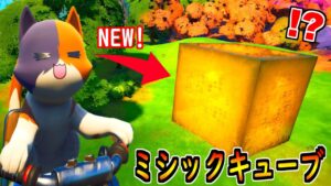 キットが幻のミシックキューブを見つけた！【茶番/フォートナイト】