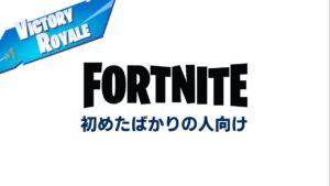 【ほぼノーカットソロ】本当に始めたばかりの人向けに解説してみた【フォートナイト/Fortnite】