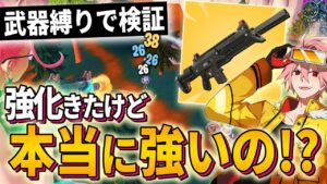 【鬼畜】強化された「ハボックアサルト縛り」してたら真の強さに気づいてしまった、はるきよ【フォートナイト/FORTNITE】