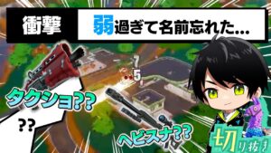 中距離ではダメージ出ると聞いたのに、弱すぎて名前を忘れたネフライト【切り抜き/ネフライト/フォートナイト】