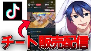 Tiktokでチート販売してるチーターがヤバすぎる...【フォートナイト/Fortnite】