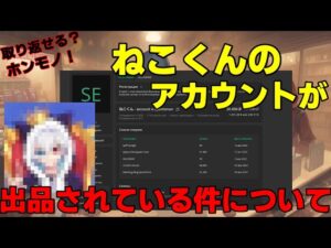【悲報】ねこくんのアカウントが乗っ取られた挙句出品されている件について【フォートナイト】【注意喚起】