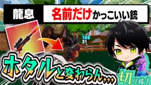 【エイム必見】ドラゴンブレススナイパーを、「ホタルの瓶の銃」と言わせたくないネフライト【切り抜き/ネフライト/フォートナイト】
