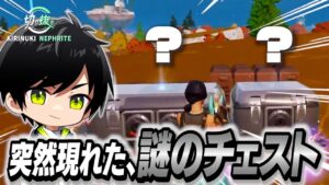 【バグ】この鍵チェスト、何が出るかわからない...【切り抜き/ネフライト/フォートナイト】