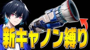 新ミシック「サイバトロン・キャノン縛り」でもプロならビクロイできちゃう？【フォートナイト/Fortnite】