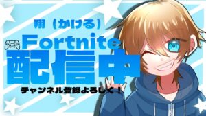【初見さん大歓迎】フォートナイト参加型！ 参加者募集中！
