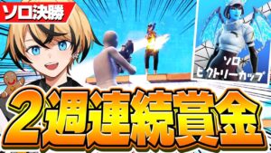 今シーズンのソロビクトリーキャッシュ決勝の勝ち方！【フォートナイト/Fortnite】