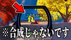 暴れすぎてBANされたチーターの視点がやばすぎる...【フォートナイト / Fortnite】