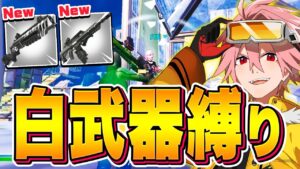 「新武器×白武器縛り」でソロランクビクロイできるのか！？【フォートナイト/FORTNITE】