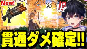 【誰でも無双】アプデで追加された新武器の性能がやばすぎるｗ【フォートナイト】
