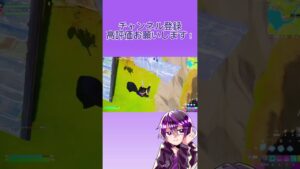 目指せインターネットアイドル【フォートナイト/Fortnite】＃shorts #フォートナイト #fortnite #フォートナイトキル集