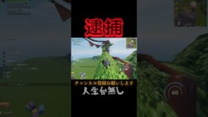 ｛逮捕｝１００万円以下の罰金か逮捕です。フォートナイト/FORTNIT #チャンネル登録 #フォートナイト