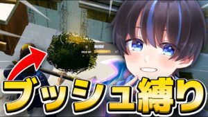 【縛り】対面最強ならブッシュだけでビクロイできる説WWW【フォートナイト/Fortnite】