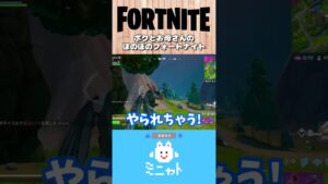 ボクとお母さんのほのぼのフォートナイト【Fortnite】