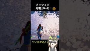 ブッシュに先客いた！😆#フォートナイト