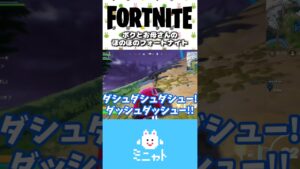 ボクとお母さんのほのぼのフォートナイト【Fortnite】