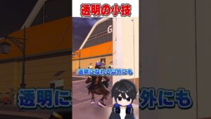 ステルス迷彩の意外な小技が...🫢【フォートナイト豆知識 解説 小技】#shorts