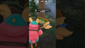 おまえまだ息してる...？【 フォートナイト 】