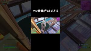 ソロ終盤がうますぎる【フォートナイト/FORTNITE】