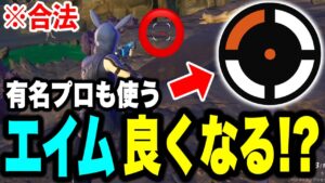 【合法チート】プロのクロスヘアが使えるツールでエイムがまさかの...!!🫢【フォートナイト豆知識 解説 小技】